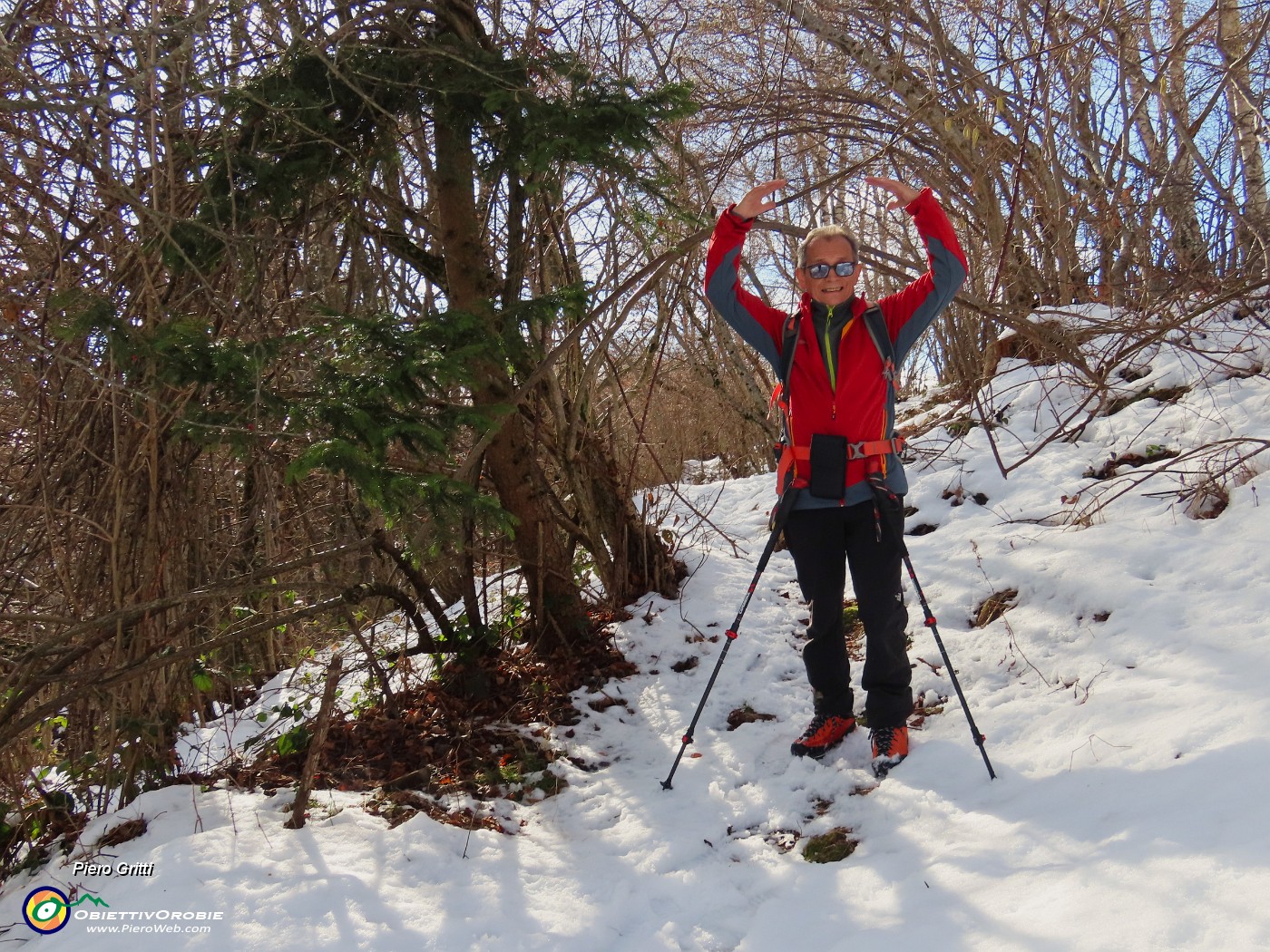 24 Belli gli archi degli alberi piegati dalla neve.JPG